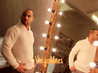 Vingoddnes