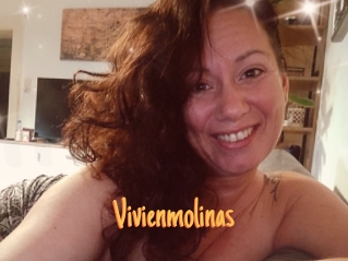 Vivienmolinas
