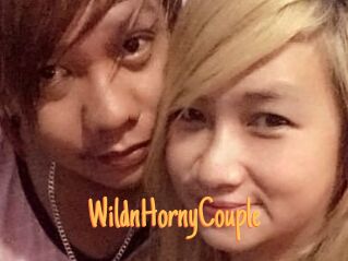 WildnHornyCouple