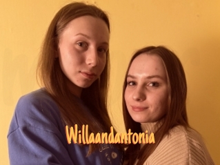 Willaandantonia