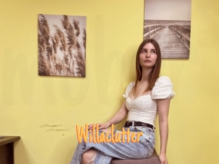 Willaclutter